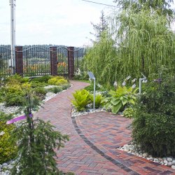 Струящиеся ветки плакучей ивы и плотная зелень туи Смарагд - контрастное решение в дизайне сада